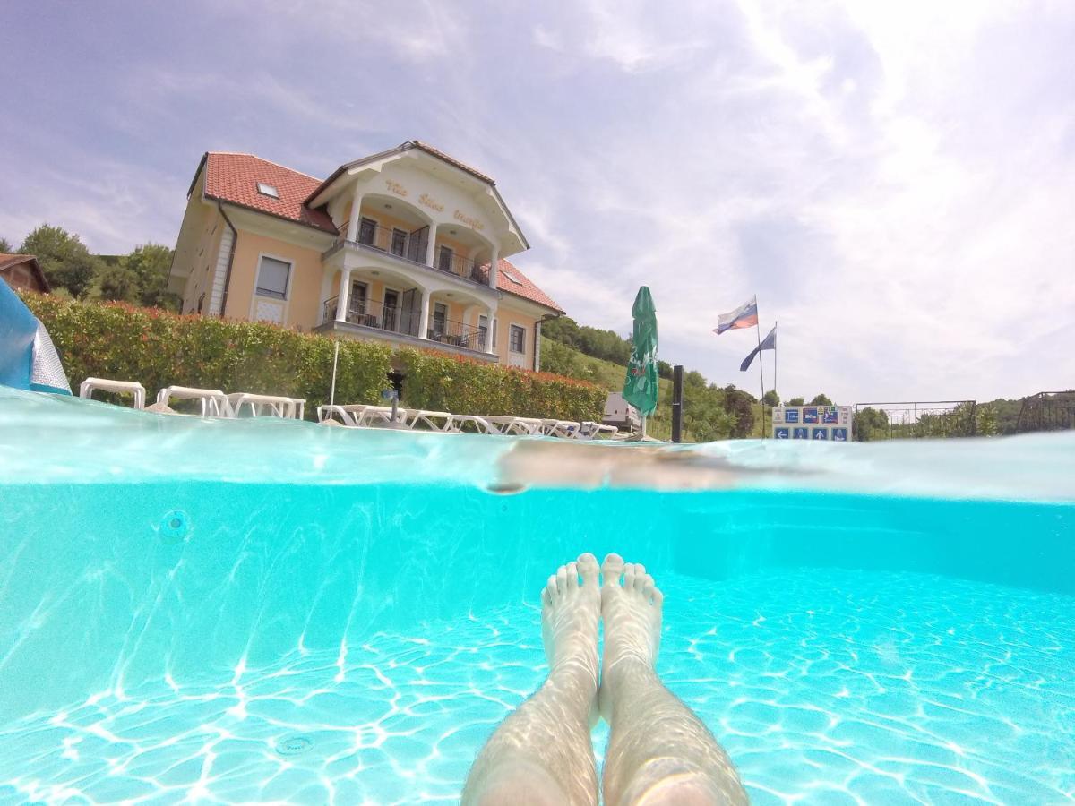 Vila Silva Marija Apartments Pišece 외부 사진